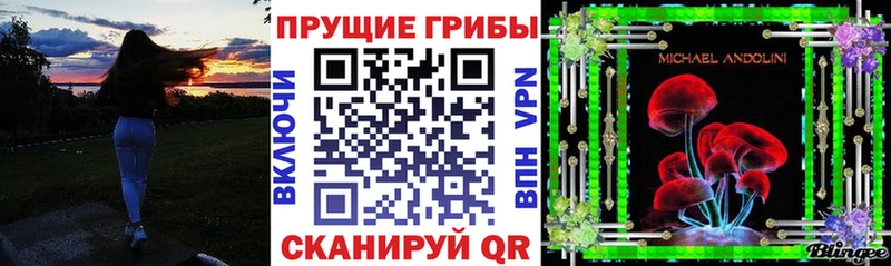 где купить наркоту  OMG tor  Галлюциногенные грибы MAGIC MUSHROOMS  Власиха 