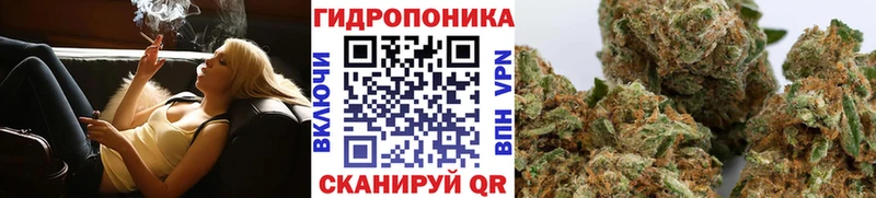 Бошки марихуана конопля  Власиха 